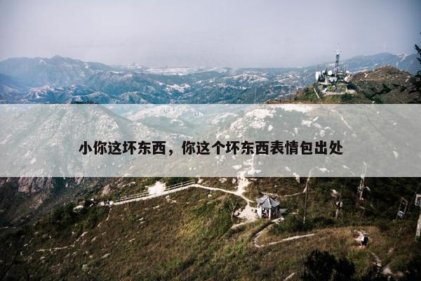 小你这坏东西，你这个坏东西表情包出处