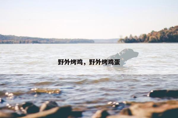 野外烤鸡，野外烤鸡蛋