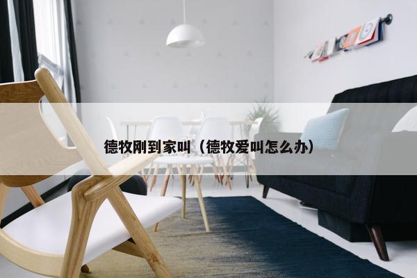 德牧刚到家叫（德牧爱叫怎么办）
