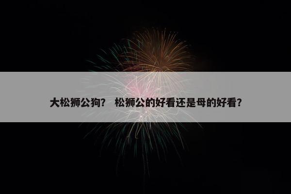 大松狮公狗？ 松狮公的好看还是母的好看？
