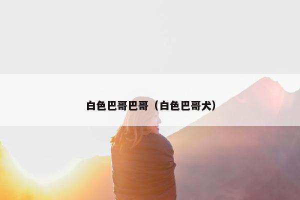白色巴哥巴哥（白色巴哥犬）