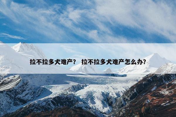 拉不拉多犬难产？ 拉不拉多犬难产怎么办？