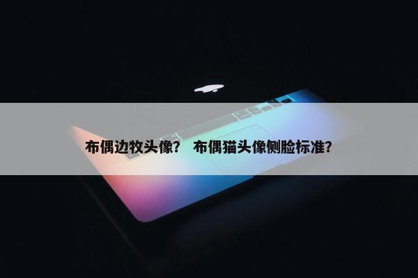 布偶边牧头像？ 布偶猫头像侧脸标准？
