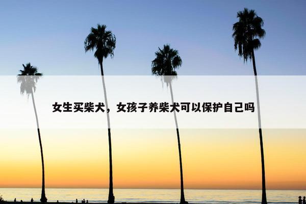 女生买柴犬，女孩子养柴犬可以保护自己吗