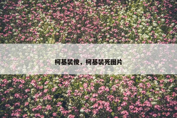 柯基装傻，柯基装死图片