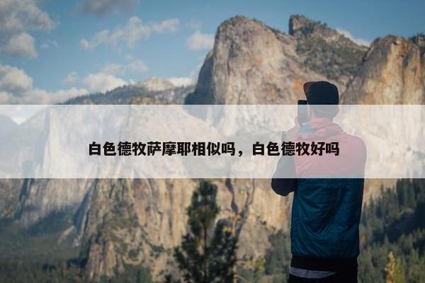 白色德牧萨摩耶相似吗，白色德牧好吗