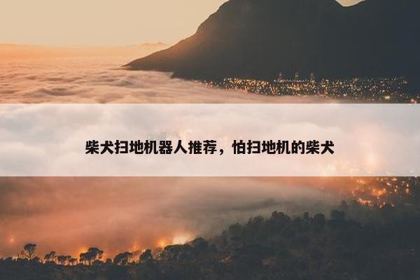 柴犬扫地机器人推荐，怕扫地机的柴犬