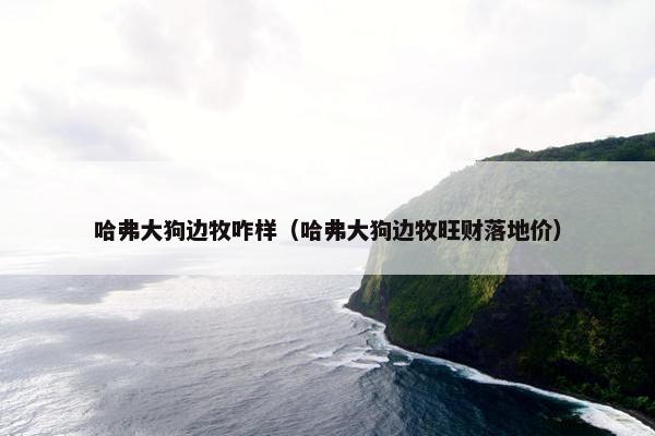 哈弗大狗边牧咋样（哈弗大狗边牧旺财落地价）