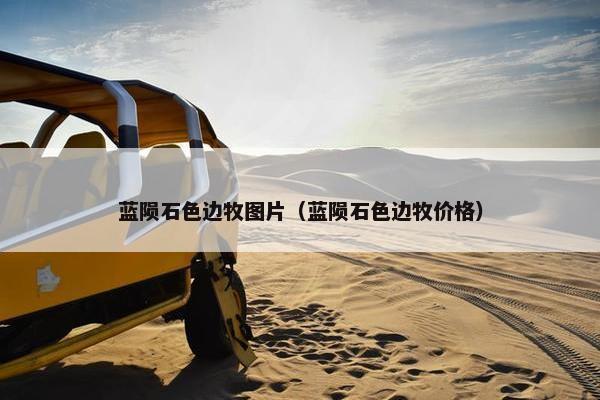 蓝陨石色边牧图片（蓝陨石色边牧价格）