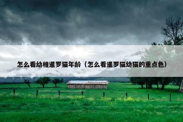 怎么看幼稚暹罗猫年龄（怎么看暹罗猫幼猫的重点色）