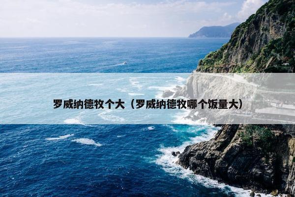 罗威纳德牧个大（罗威纳德牧哪个饭量大）