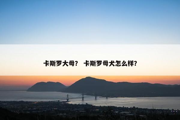 卡斯罗大母？ 卡斯罗母犬怎么样？