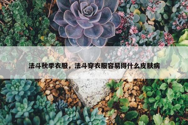 法斗秋季衣服，法斗穿衣服容易得什么皮肤病