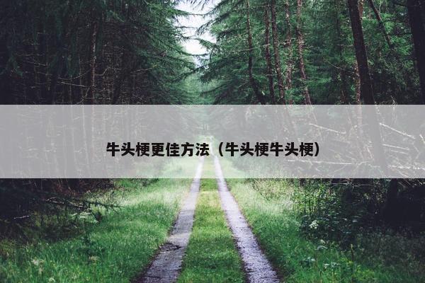 牛头梗更佳方法（牛头梗牛头梗）