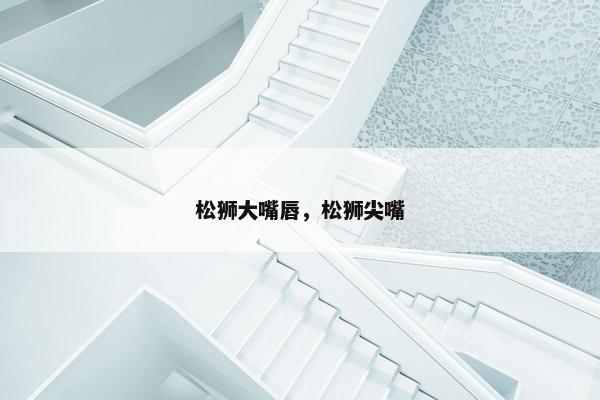 松狮大嘴唇，松狮尖嘴
