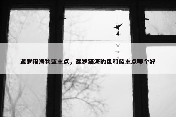 暹罗猫海豹蓝重点，暹罗猫海豹色和蓝重点哪个好