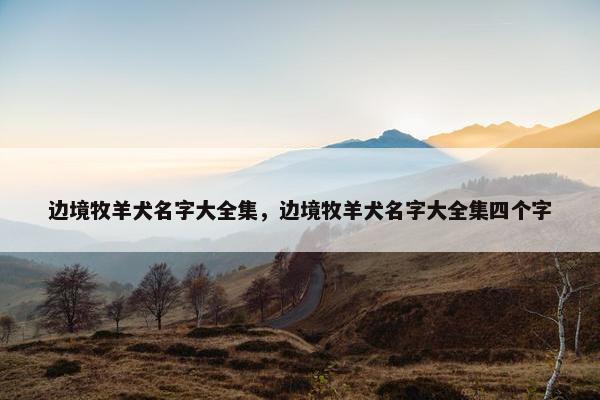 边境牧羊犬名字大全集，边境牧羊犬名字大全集四个字