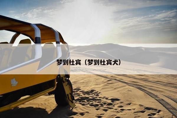 梦到杜宾（梦到杜宾犬）