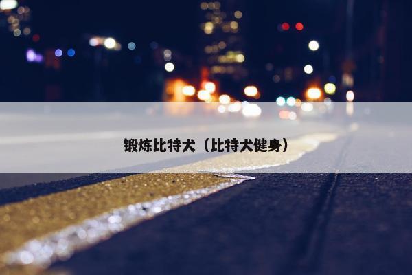 锻炼比特犬（比特犬健身）