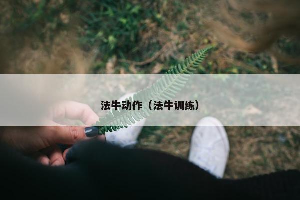 法牛动作（法牛训练）