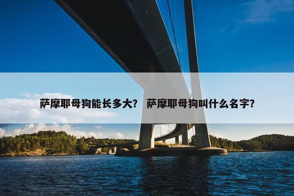 萨摩耶母狗能长多大？ 萨摩耶母狗叫什么名字？