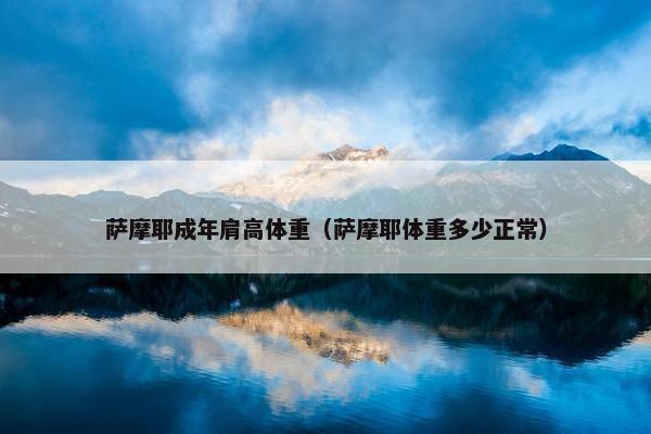 萨摩耶成年肩高体重（萨摩耶体重多少正常）