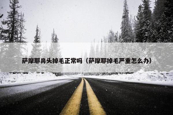 萨摩耶鼻头掉毛正常吗（萨摩耶掉毛严重怎么办）