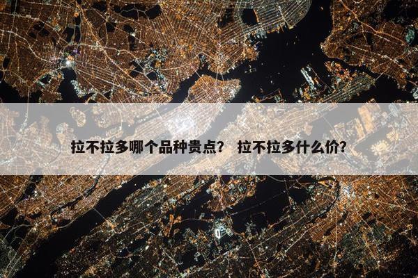 拉不拉多哪个品种贵点？ 拉不拉多什么价？