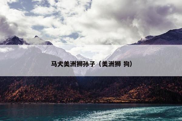 马犬美洲狮孙子（美洲狮 狗）