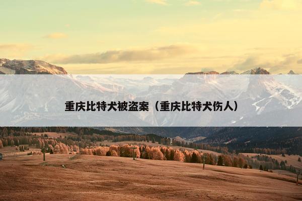 重庆比特犬被盗案（重庆比特犬伤人）