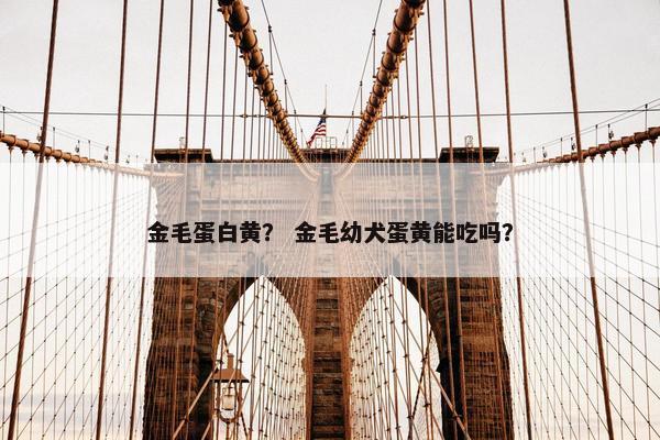 金毛蛋白黄？ 金毛幼犬蛋黄能吃吗？