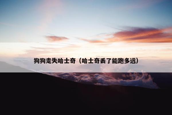 狗狗走失哈士奇（哈士奇丢了能跑多远）