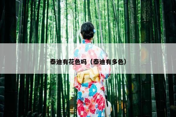 泰迪有花色吗（泰迪有多色）