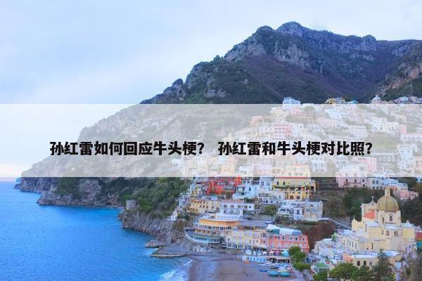 孙红雷如何回应牛头梗？ 孙红雷和牛头梗对比照？