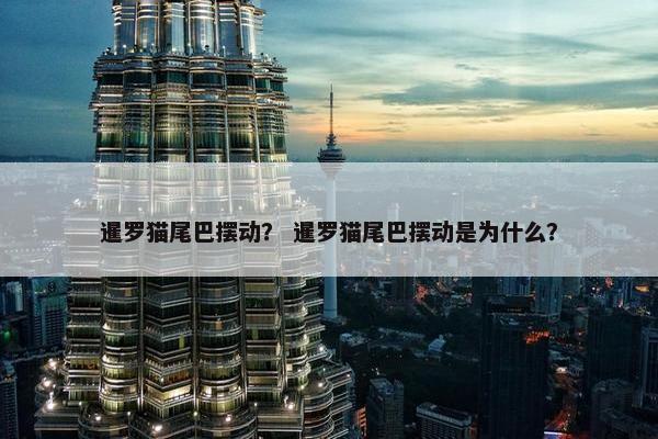 暹罗猫尾巴摆动？ 暹罗猫尾巴摆动是为什么？
