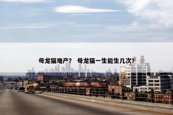 母龙猫难产？ 母龙猫一生能生几次？