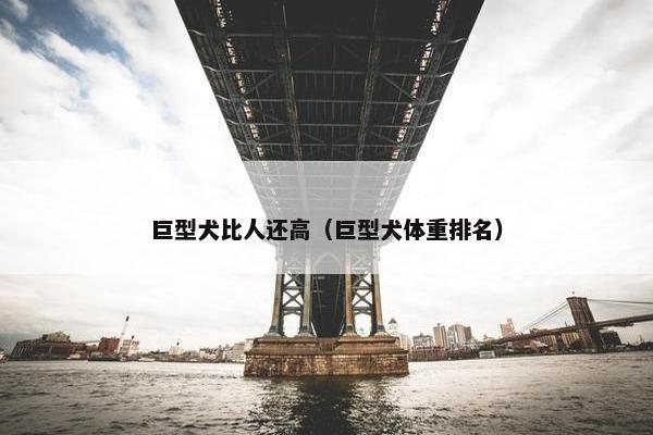 巨型犬比人还高（巨型犬体重排名）