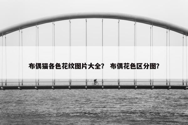 布偶猫各色花纹图片大全？ 布偶花色区分图？