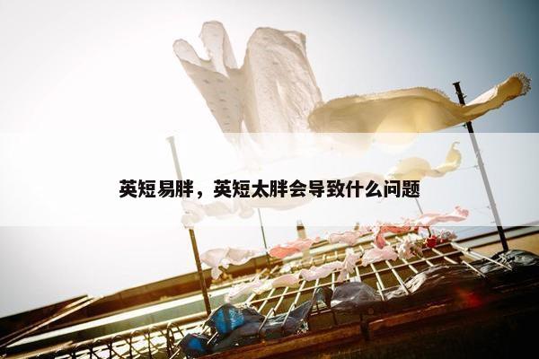 英短易胖，英短太胖会导致什么问题