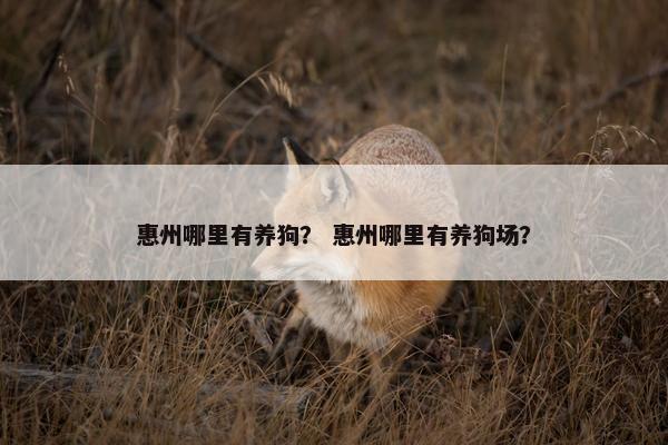 惠州哪里有养狗？ 惠州哪里有养狗场？