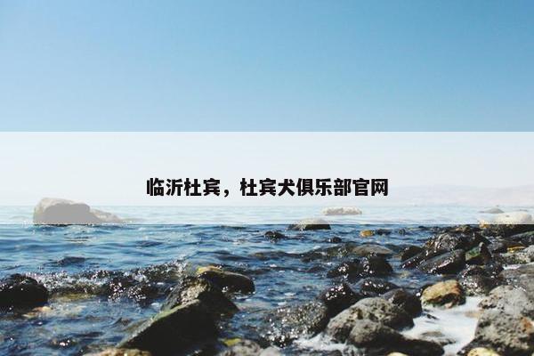 临沂杜宾，杜宾犬俱乐部官网