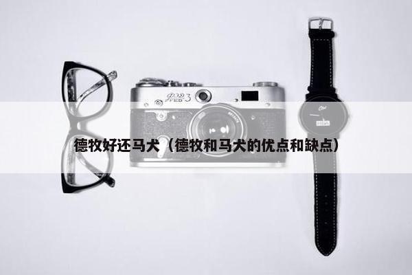 德牧好还马犬（德牧和马犬的优点和缺点）