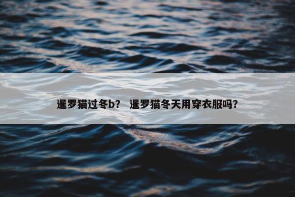 暹罗猫过冬b？ 暹罗猫冬天用穿衣服吗？