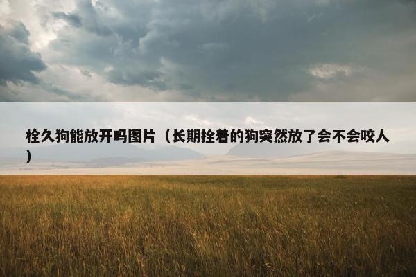 栓久狗能放开吗图片（长期拴着的狗突然放了会不会咬人）