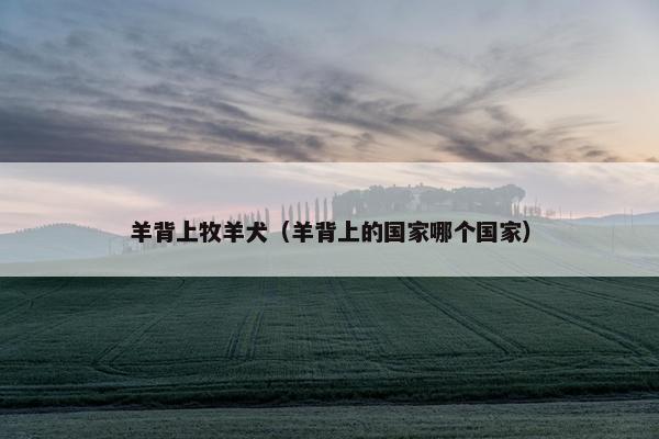 羊背上牧羊犬（羊背上的国家哪个国家）
