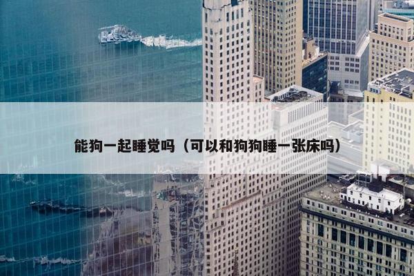 能狗一起睡觉吗（可以和狗狗睡一张床吗）