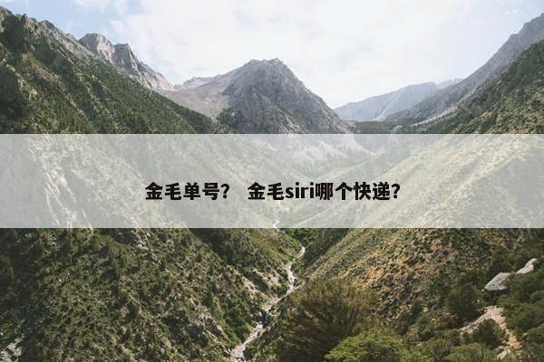 金毛单号？ 金毛siri哪个快递？