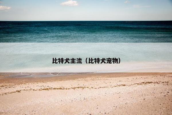 比特犬主流（比特犬宠物）