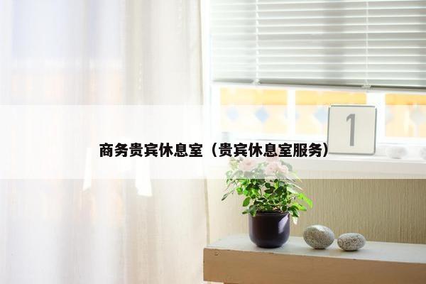商务贵宾休息室（贵宾休息室服务）