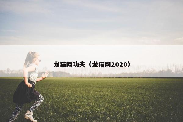 龙猫网功夫（龙猫网2020）